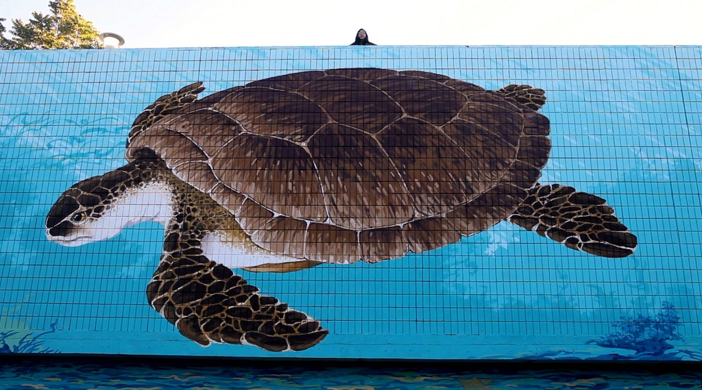 Sea turtle mural