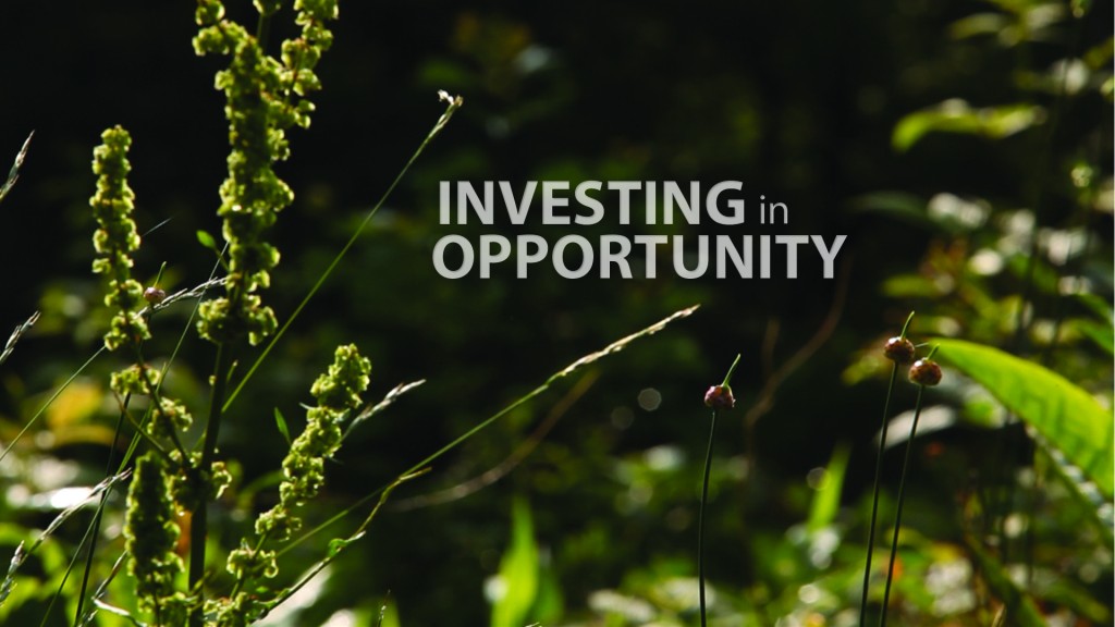 CDFI Investing in Opportunity