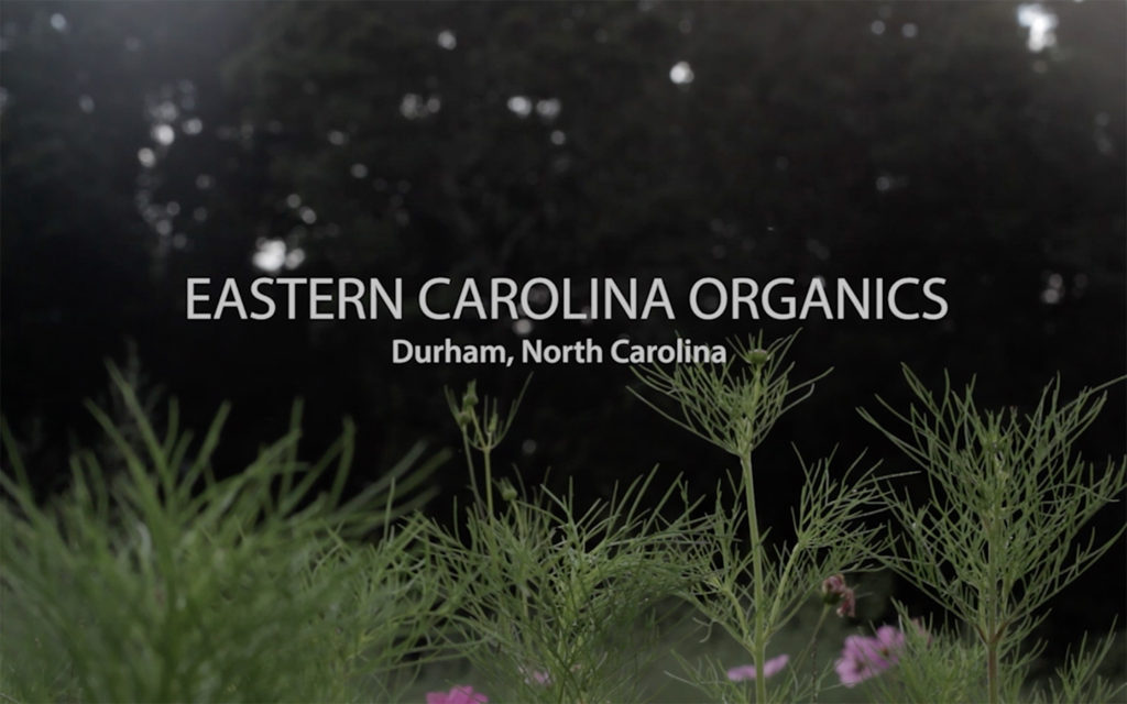 Whole Foods Market - Eastern Carolina Organics