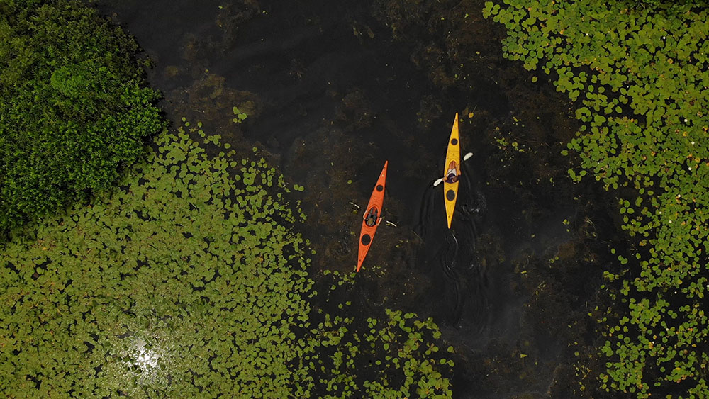 Birds eye view of an orange and yellow kayak floating in a lake