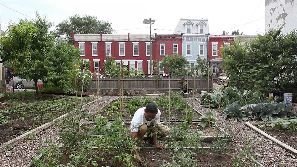 Man tending a garden bed in a community garden in Camden, NJ